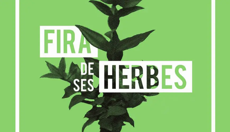 Herb Fair in Selva