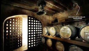 A view of the wine celler of Celler de Son Vives