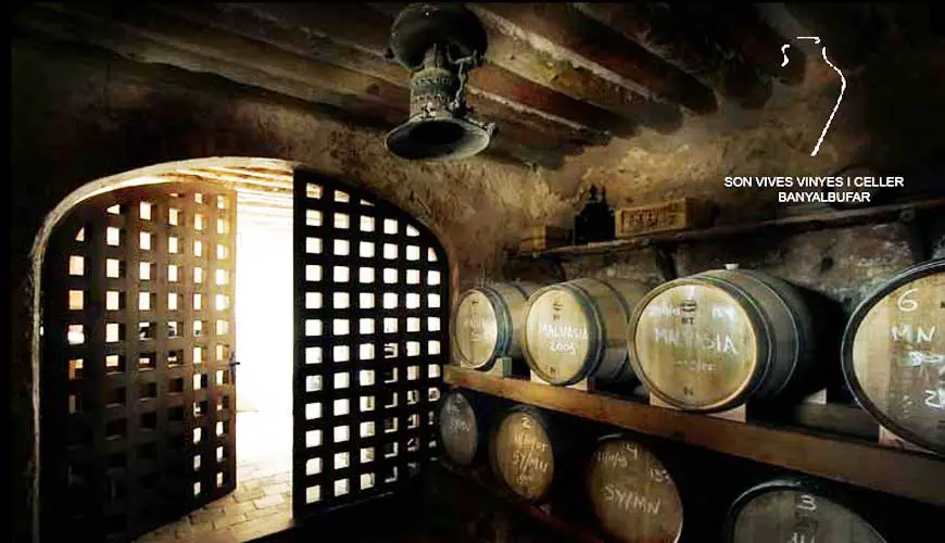 Celler de Son Vives