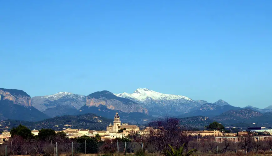 Santa Maria del Cami